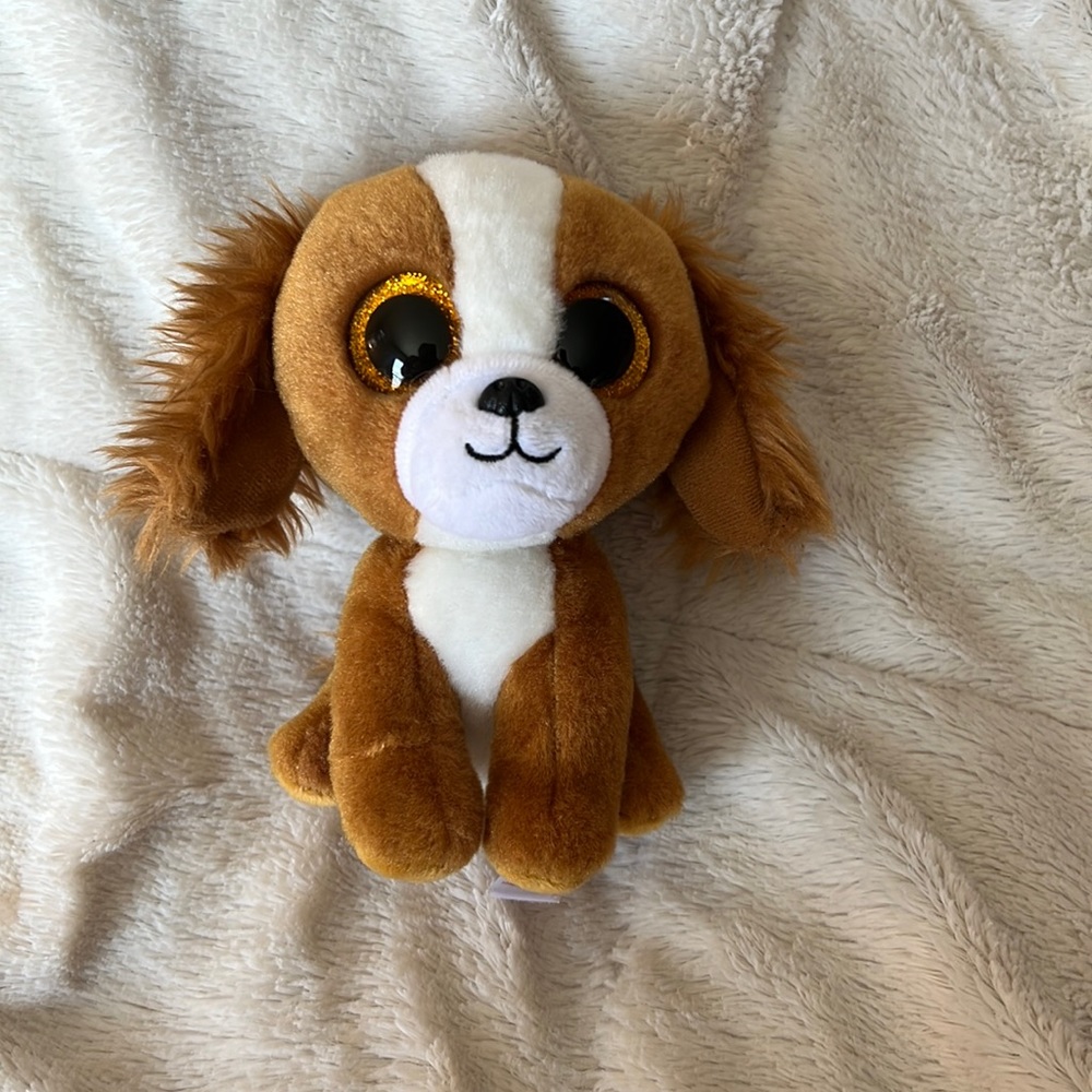 💕 Preloved Ty Beanie Boo ~ Tala The Dog 💕